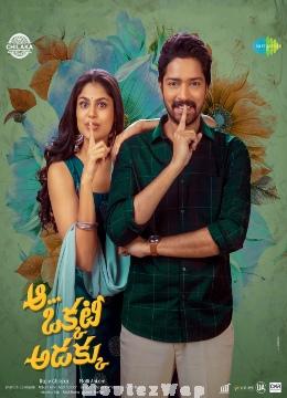Aa Okkati Adakku (2024) Telugu