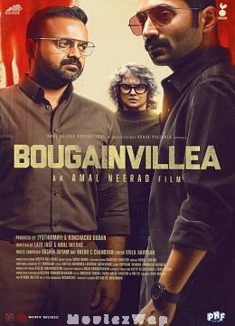 Bougainvillea (2024) Telugu Original