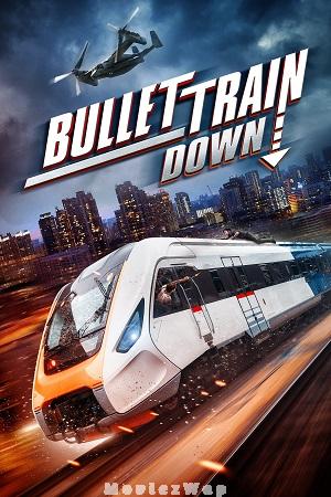 Bullet Train Down (2022) Hindi Dubbed ORG