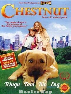 Chestnut Hero of Central (2004) Telugu Dubbed Multi Audios
