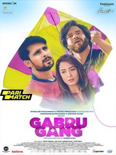 Gabru Gang (2024) Hindi
