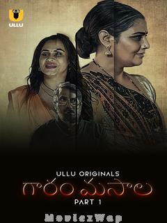 Garam Masala (2023) Telugu UNRATED Part 01