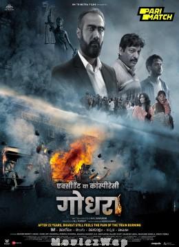 Accident or Conspiracy: Godhra (2024) Hindi