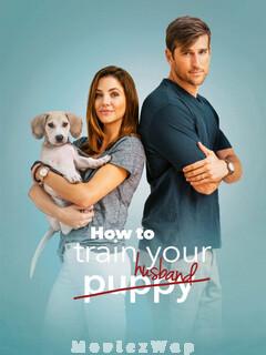 How to Train Your Husband (2017) Telugu Dubbed