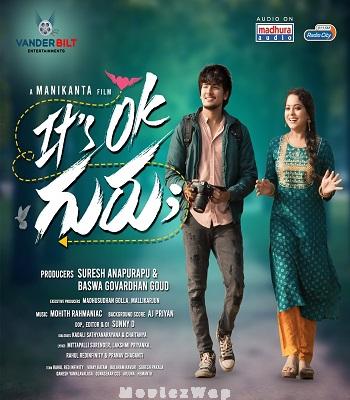 Its OK Guru (2025) Telugu ORG