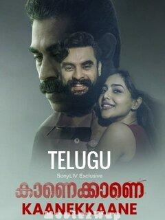 Kaanekkaane (2021) Telugu Original
