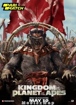 Kingdom of the Planet of the Apes (2024) English