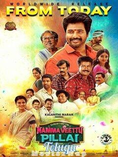 Manasunnodu (2020) Telugu