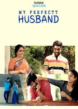 My Perfectt Husband (2024) Telugu Season 01 Eps (01 to 08)