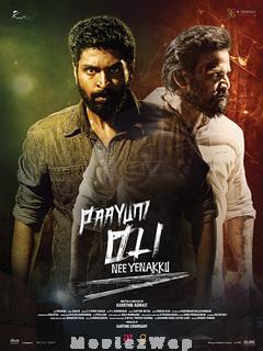 Paayum Oli Nee Yenakku (2024) Telugu Original