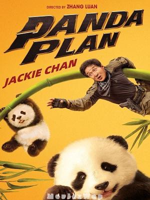 Panda Plan (2024) Hindi Dubbed ORG