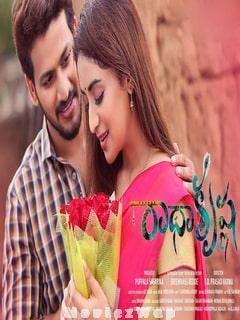 Radha Krishna (2021) Telugu Original