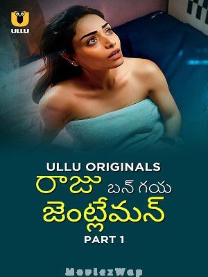 Raju Bangaya Gentleman (2025) Telugu UNRATED Season 01 Part 01