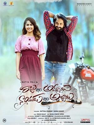 Raju Gari Ammayi Naidu Gari Abbayi (2024) Telugu Original