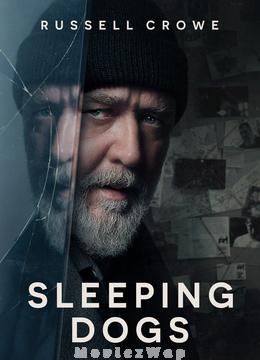 Sleeping Dogs (2024) Telugu Dubbed ORG