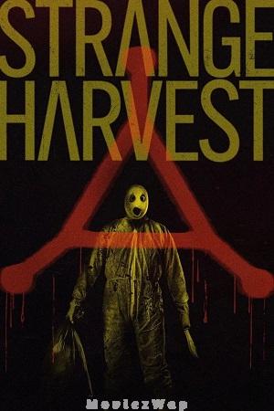 Strange Harvest (2024) Telugu Dubbed ORG