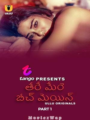 Tere Mere Beech Mein (2025) Telugu UNRATED Season 01 Part 01