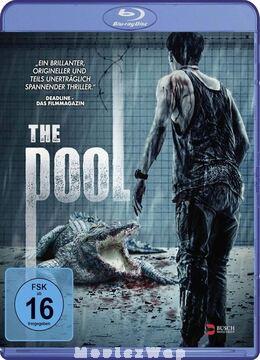 The Pool (2018) Telugu Dubbed ORG